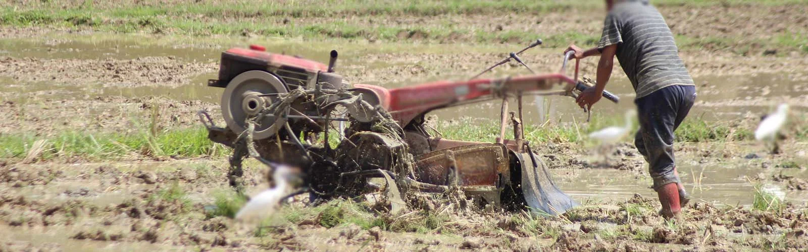 Unlocking Farming Potential with Walking Tractors in Tanzania